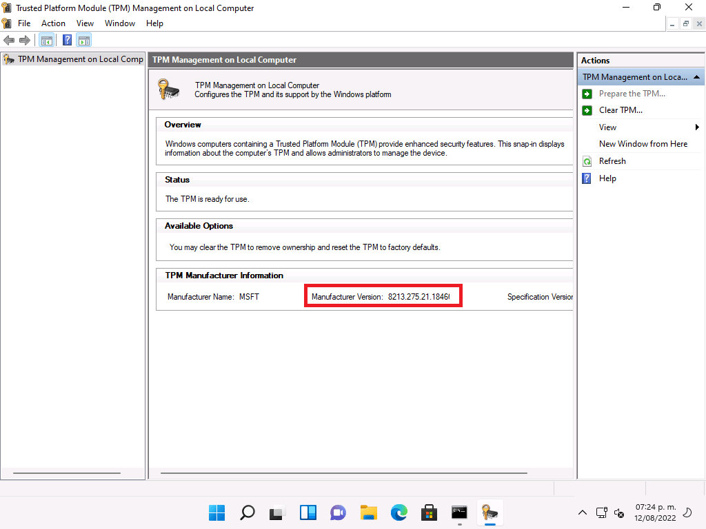 Fun with TPM firmware version&nbsp;numbers